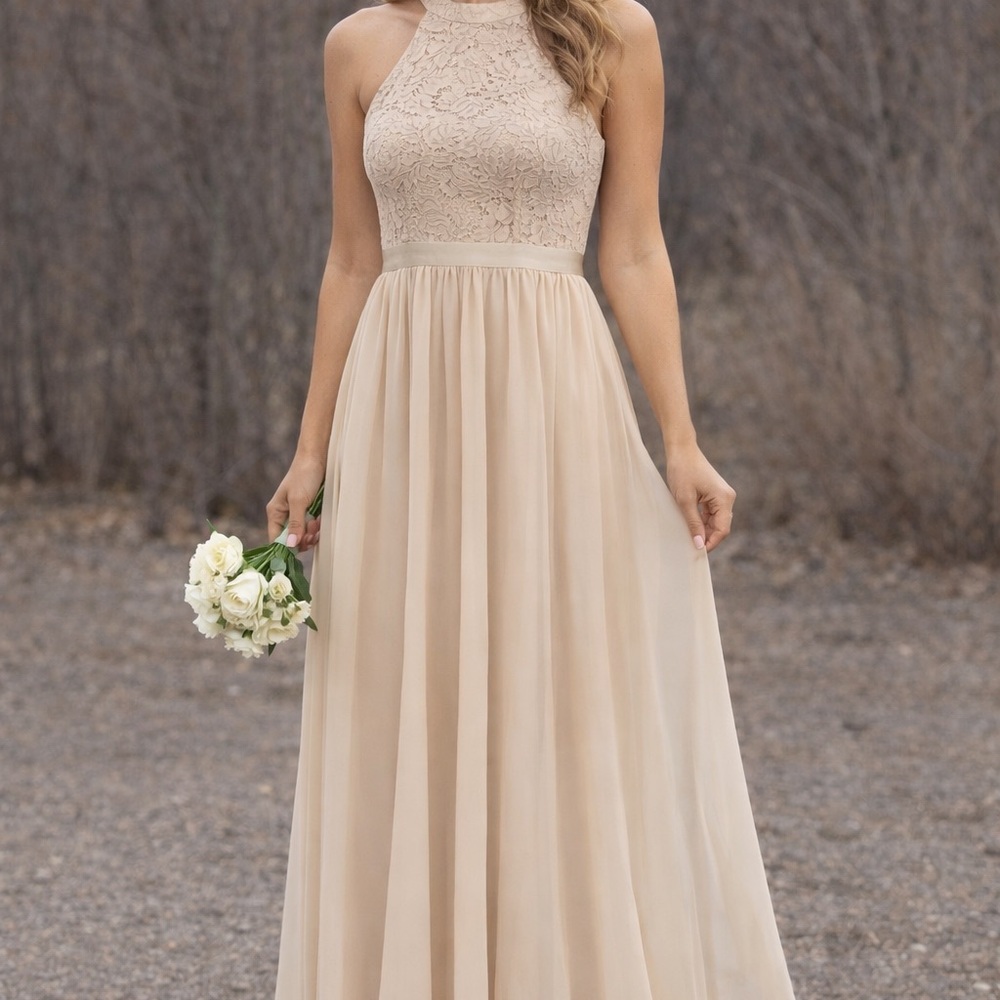 Romantic Dressy Collection full length formal gown soft champagne tulle lace S